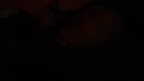 Lira online show from 02/23/26, 07:39