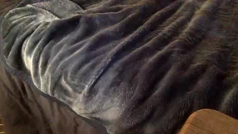 Ignacio online show from 10/09/25, 03:59