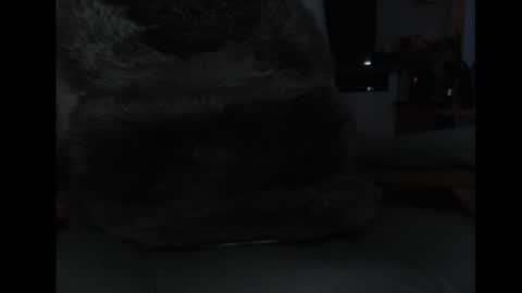 Snapshot of mav1962 chatting on 04/05/26, 06:05 mav1962 online show from 04/05/26, 06:05