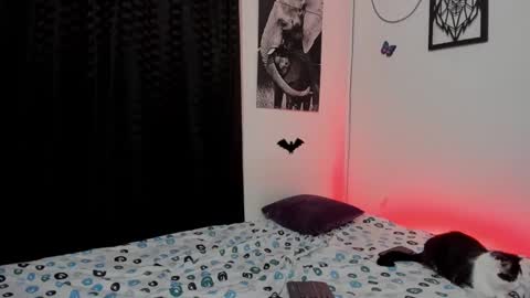 Snapshot of maxi_styles chatting on 03/03/25, 04:36 Alex online show from 03/03/25, 04:36