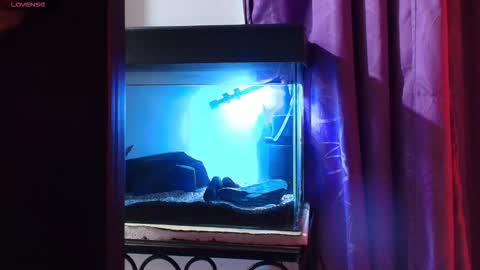 Snapshot of maxianomal chatting on 03/09/26, 02:04 Max online show from 03/09/26, 02:04