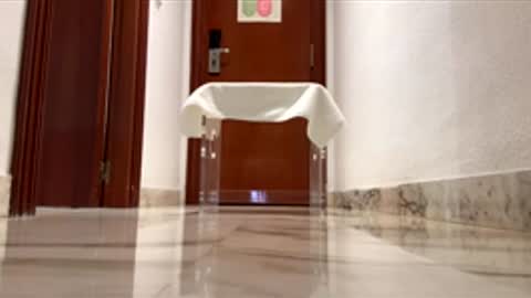 maximo1991 online show from 12/14/25, 06:19