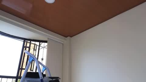 Sebastian online show from 12/30/24, 07:32