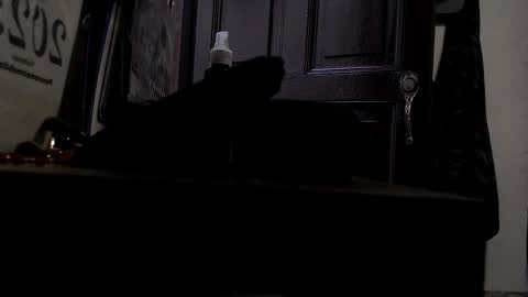 maximotorricelli online show from 01/03/25, 09:47