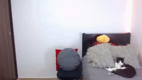 Snapshot of maximus_golden chatting on 02/18/26, 02:51 Independent Model online show from 02/18/26, 02:51