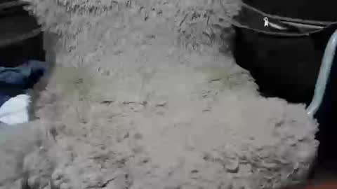 Max online show from 01/07/25, 02:19