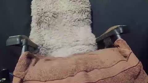 Max online show from 01/08/25, 09:34