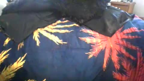 Snapshot of maximus_oreally chatting on 03/06/26, 01:02 Max online show from 03/06/26, 01:02