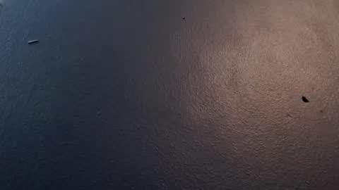 Max and Pam Voyeur Cam online show from 01/29/25, 05:09