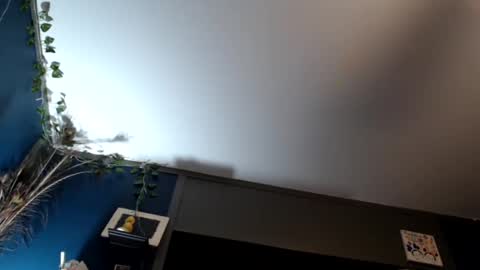 Max and Pam Voyeur Cam online show from 02/16/25, 07:48