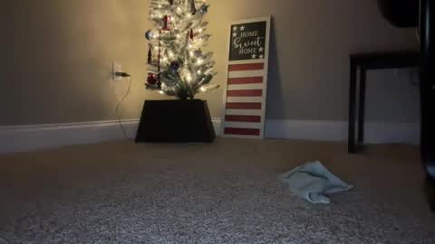 maxx276828 online show from 11/22/25, 04:44