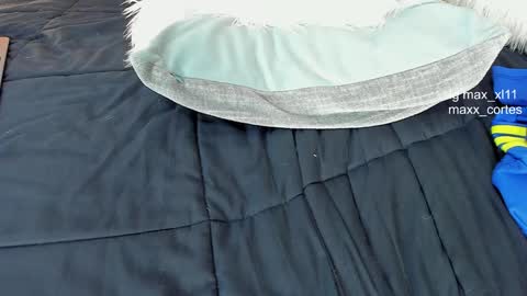 Snapshot of maxx_cortes chatting on 02/03/25, 06:45 maxx_cortes online show from 02/03/25, 06:45