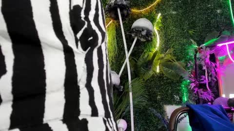 mayasinabon online show from 12/17/24, 03:17