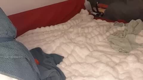 maybeanal online show from 10/12/25, 05:06