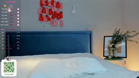 My name Casey  online show from 01/26/25, 10:13