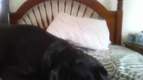 Davis online show from 02/14/26, 08:16