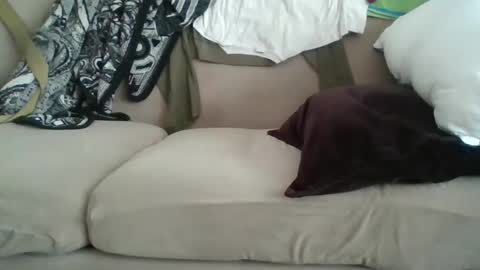 Snapshot of me_likey88 chatting on 02/08/25, 08:42 yung n hung online show from 02/08/25, 08:42