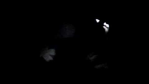 Oltereodora-lima online show from 02/06/25, 07:07