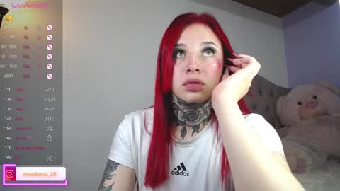 Snapshot of medusa_20 chatting on 12/28/24, 08:48 Johana online show from 12/28/24, 08:48