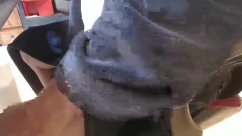 Snapshot of mee9090e900 chatting on 09/19/25, 11:11 mee9090e900 online show from 09/19/25, 11:11