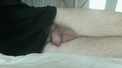 meforu21 online show from 12/29/24, 09:39