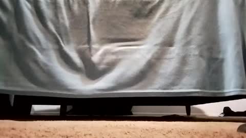 megacock420420 online show from 12/10/24, 02:27