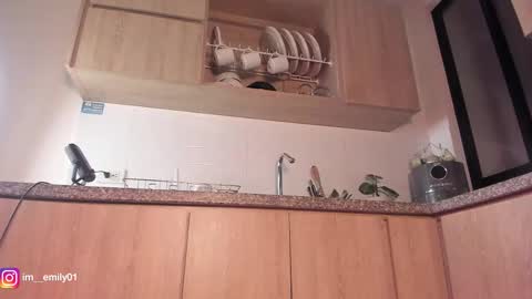 Snapshot of megan__88 chatting on 03/12/26, 01:01 megan online show from 03/12/26, 01:01