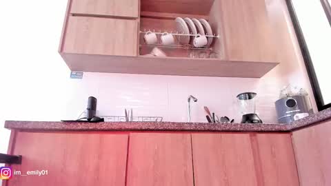 Snapshot of megan__88 chatting on 03/29/26, 02:39 megan online show from 03/29/26, 02:39