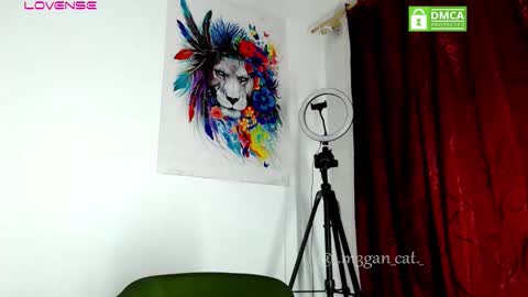 megan_cat online show from 11/11/25, 11:21