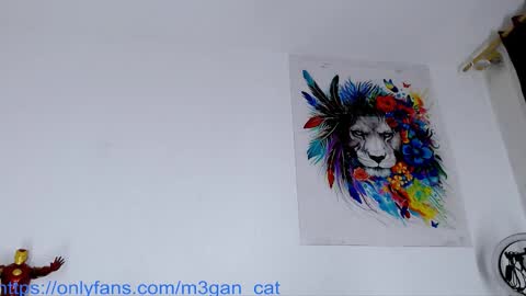 megan_cat online show from 11/25/25, 10:59