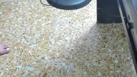 Megan online show from 02/01/25, 06:00