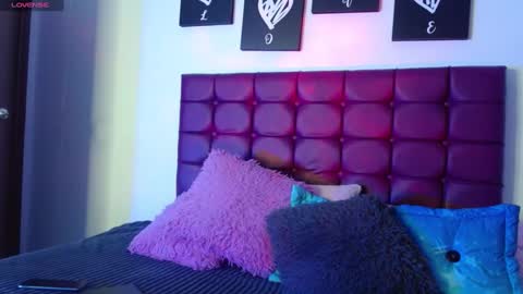 Snapshot of megan_lr chatting on 12/31/24, 03:55 Valentina online show from 12/31/24, 03:55