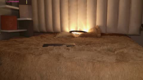     online show from 11/16/25, 12:11