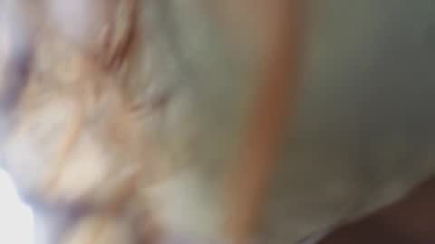 Megan online show from 02/18/26, 11:17