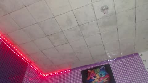 Snapshot of meghanlover21 chatting on 12/20/24, 01:03 MEGHAN online show from 12/20/24, 01:03