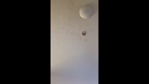 Snapshot of mel_hart_jr chatting on 03/25/26, 07:47 mel_hart_jr online show from 03/25/26, 07:47