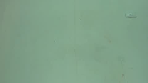 Snapshot of melania_browis chatting on 05/04/26, 03:41 Melania online show from 05/04/26, 03:41