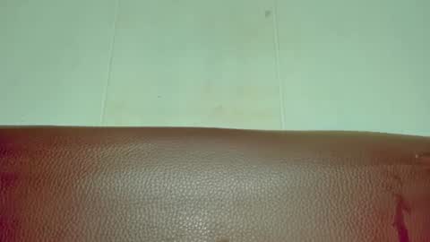 Snapshot of melania_browis chatting on 06/15/26, 04:36 Melania online show from 06/15/26, 04:36