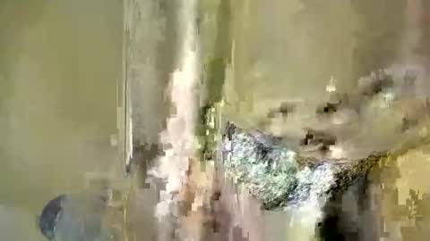 Baby online show from 12/04/25, 06:38