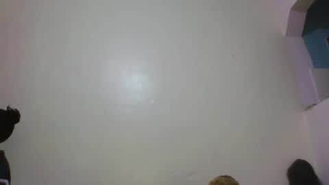 Baby online show from 02/12/26, 06:25