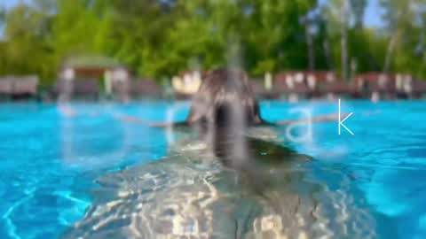 Adel online show from 12/12/24, 03:27