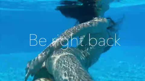 Adel online show from 09/15/25, 02:50