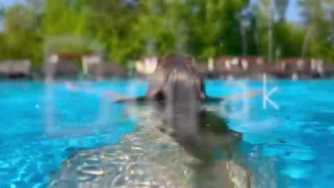 Adel online show from 02/28/26, 06:09