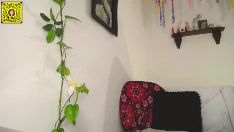 Snapshot of meliss1 chatting on 02/11/25, 12:17 melissa online show from 02/11/25, 12:17