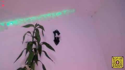 Snapshot of meliss1 chatting on 09/20/25, 01:56 melissa online show from 09/20/25, 01:56