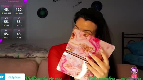 Snapshot of mellisaangel chatting on 12/07/24, 08:33 MellisaAngel online show from 12/07/24, 08:33