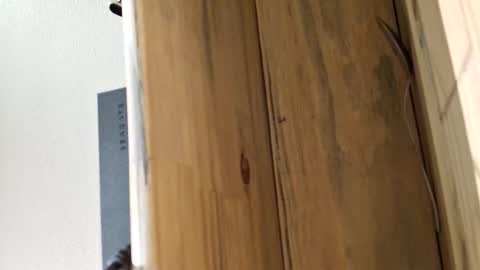 mellomike online show from 03/04/26, 05:30