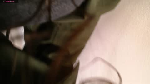 Snapshot of melodiroux_ chatting on 06/23/26, 12:58 Melodi online show from 06/23/26, 12:58