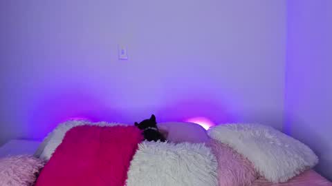    online show from 01/31/25, 04:36