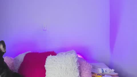    online show from 02/09/25, 01:44